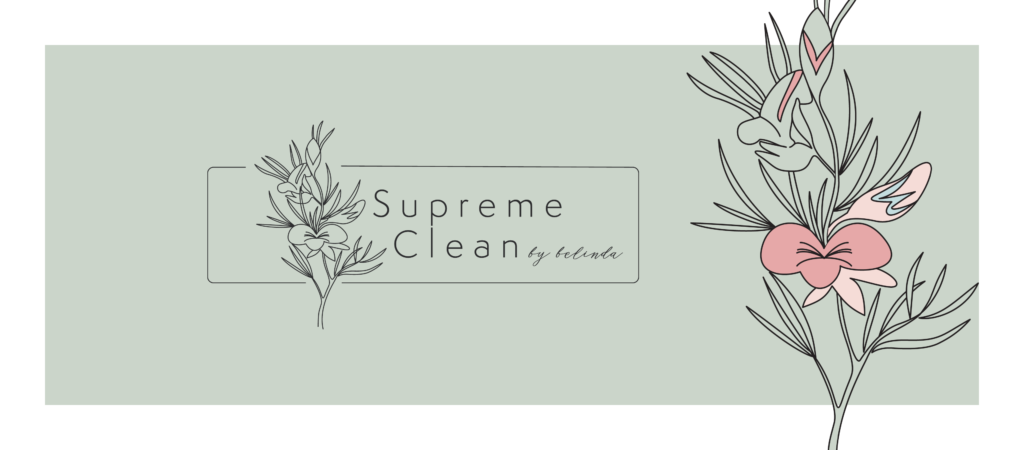 Visual identity for small business Supreme Clean