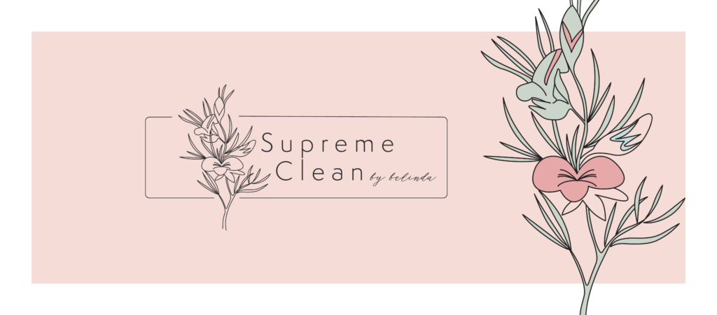 Visual identity for small business Supreme Clean